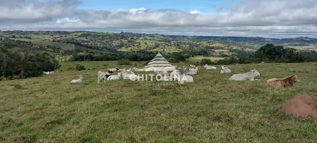 Área rural à venda no Bairro dos Tavares, Angatuba: 484.000 m²
