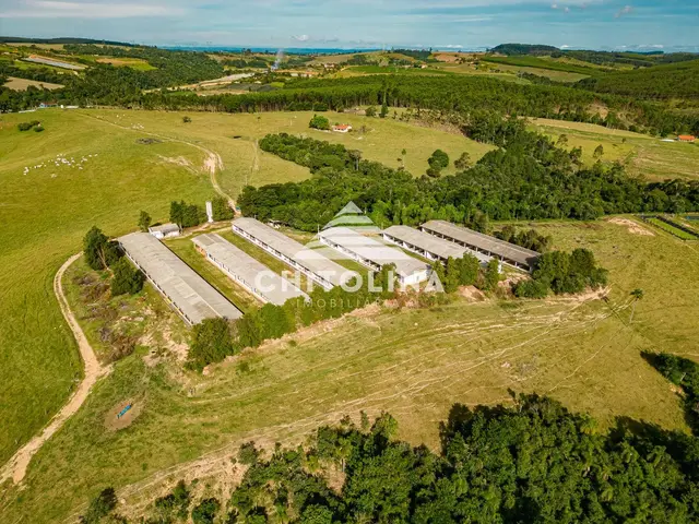 Sítio para suinocultura à venda, 372000 m² por R$ 4.500.000 - Santa Cruz dos Matos - São Miguel Arcanjo/SP