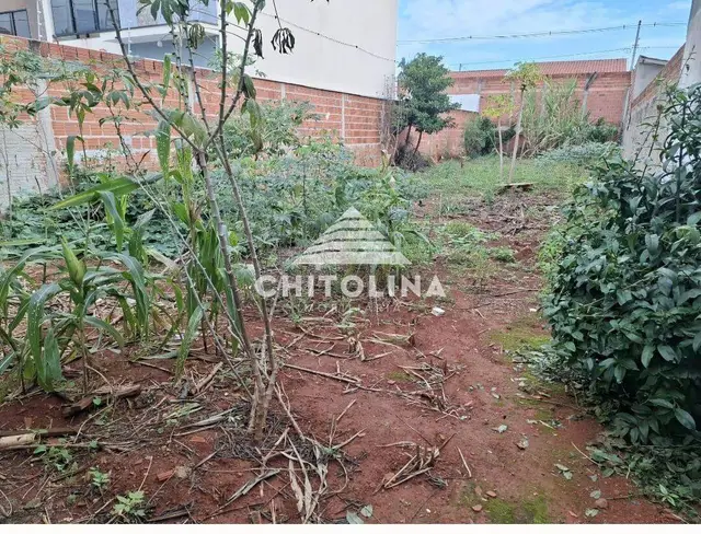 Terreno à venda no Cambuí, Itapetininga: 251 m²